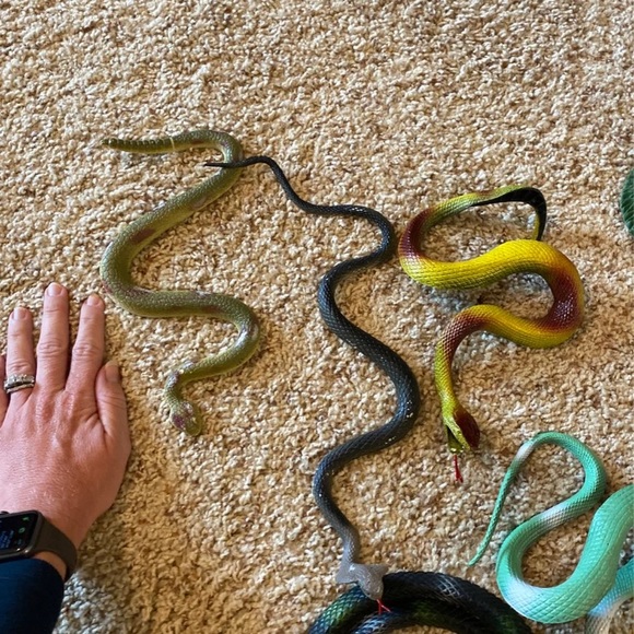 Toy snakes and spiders - Picture 4 of 4